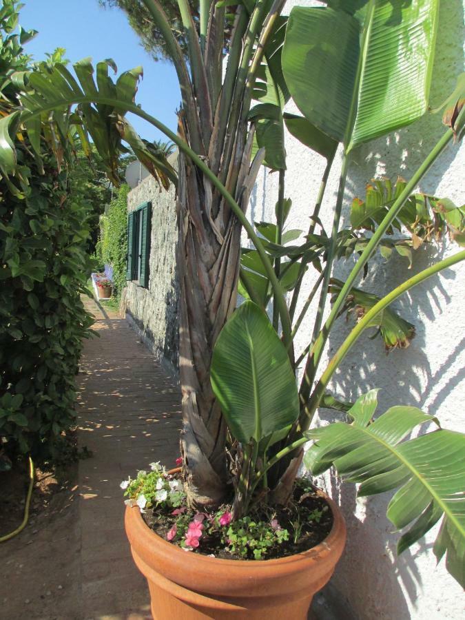 Appartamento Sporting Forio di Ischia Exteriér fotografie